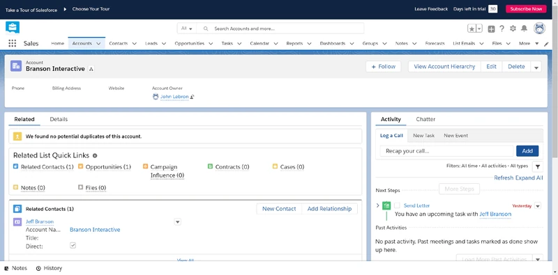 Salesforce account interface